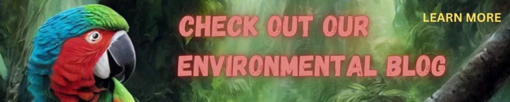 environmental blog for CMMS auditors